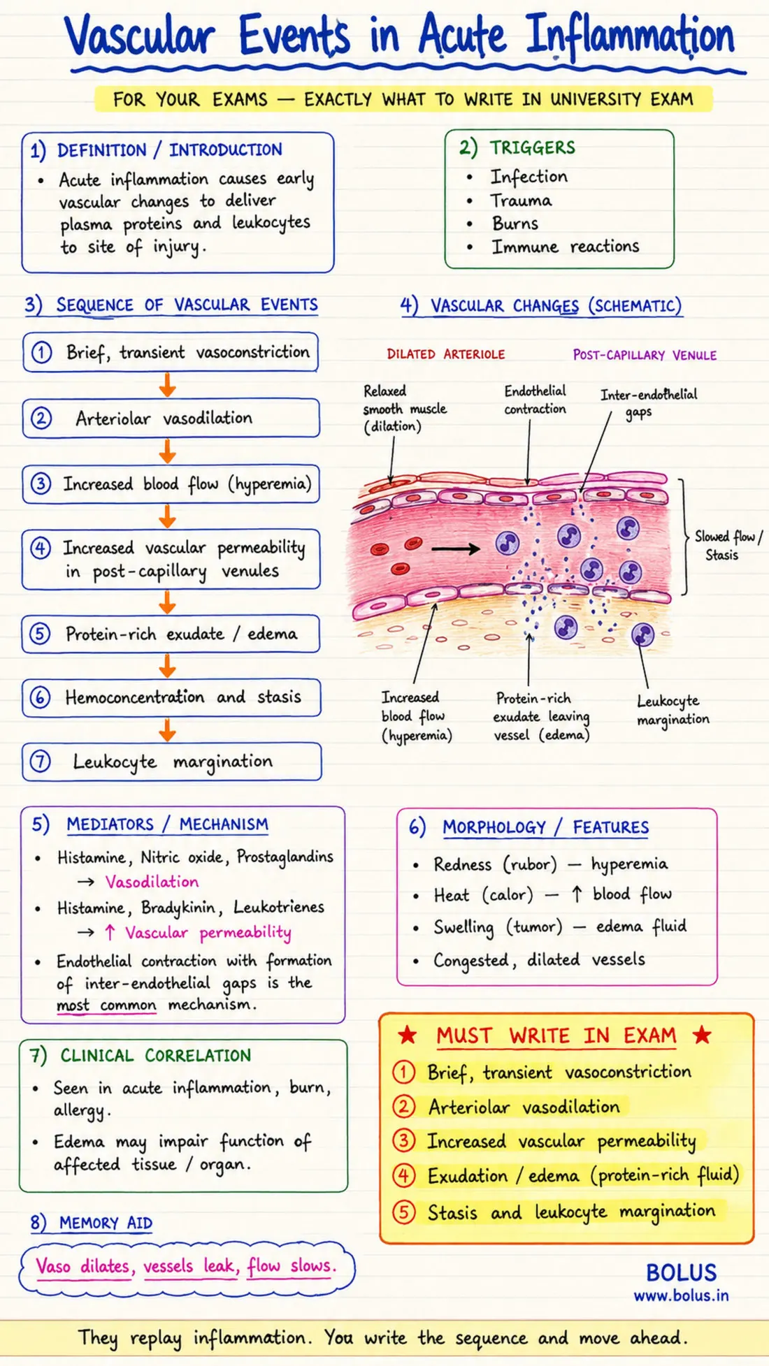 A Bolus one-page note on acute inflammation